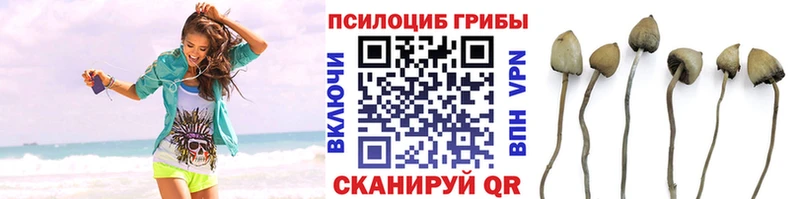 Псилоцибиновые грибы ЛСД  даркнет сайт  Павловский Посад 