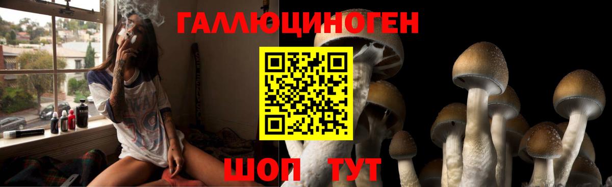 Павловский Посад  Галлюциногенные грибы Psilocybe  Вход с VPN 