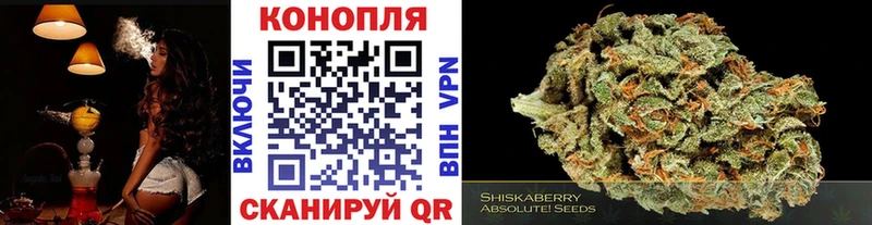 Бошки марихуана марихуана Павловский Посад